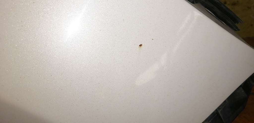 крыло Honda Elysion