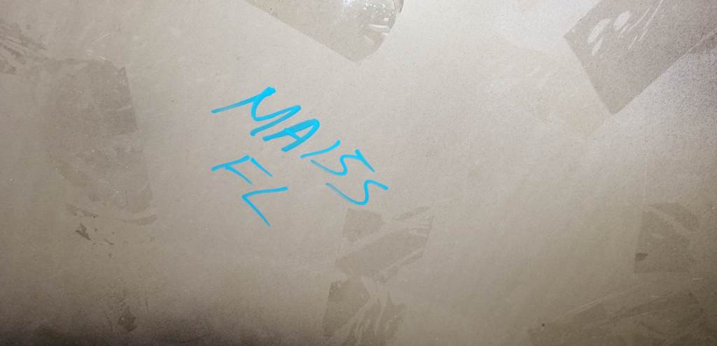 крыло Suzuki Solio