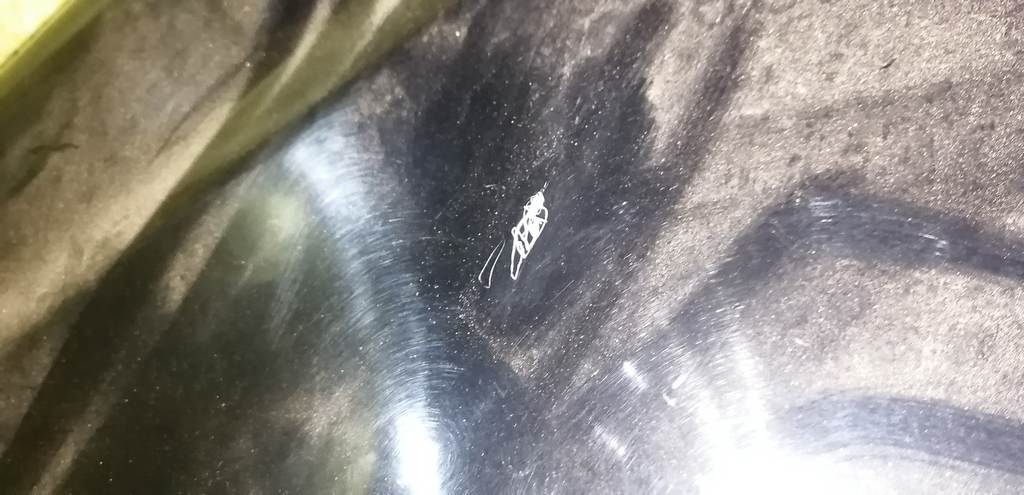 крыло Nissan Note