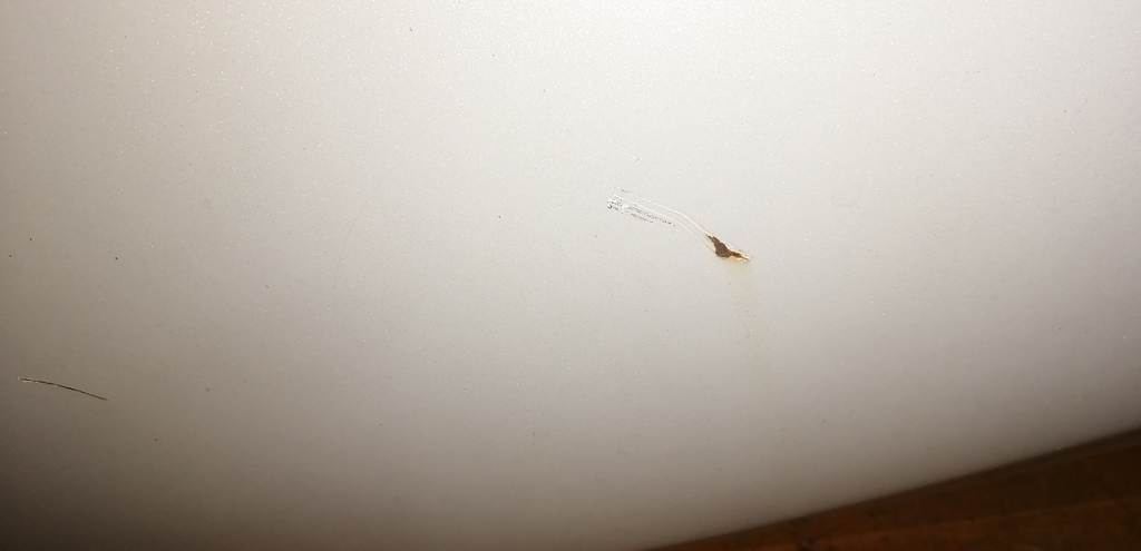 капот Toyota Passo