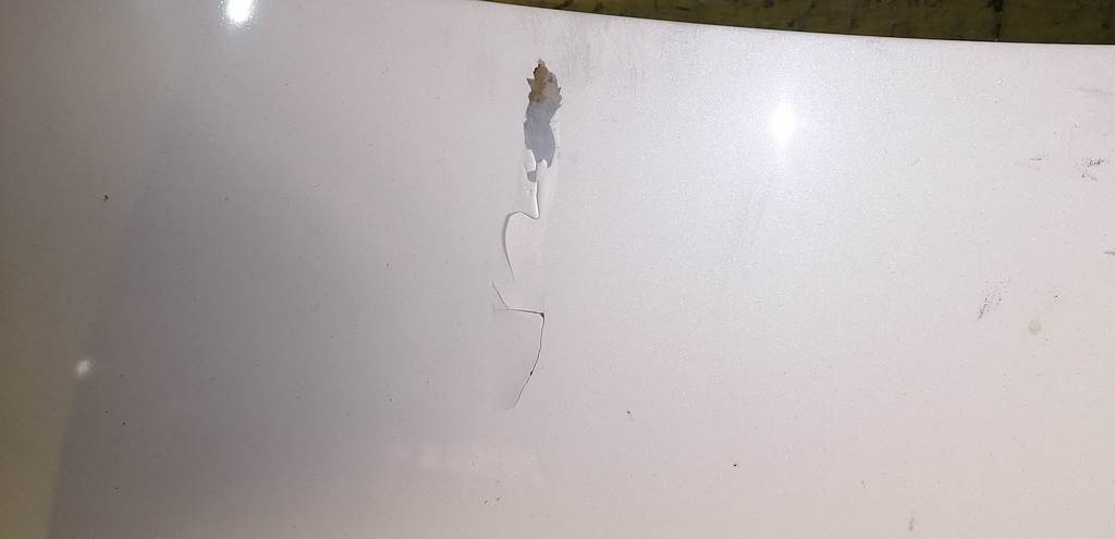 капот Honda Elysion