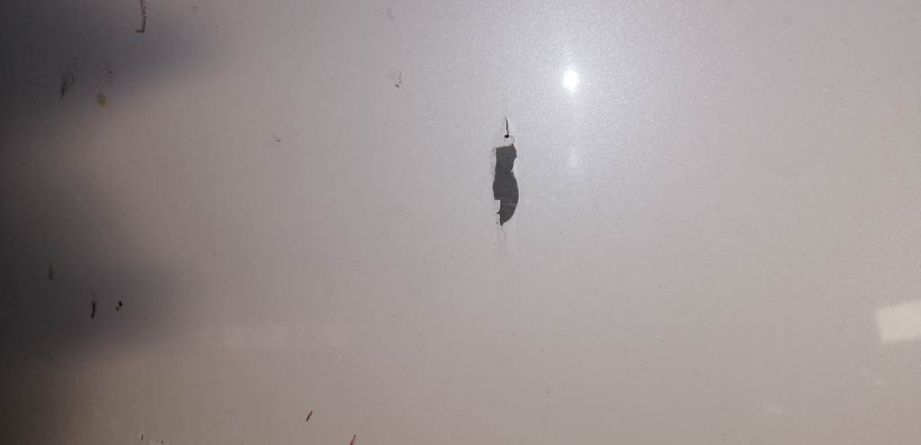 капот Honda Elysion