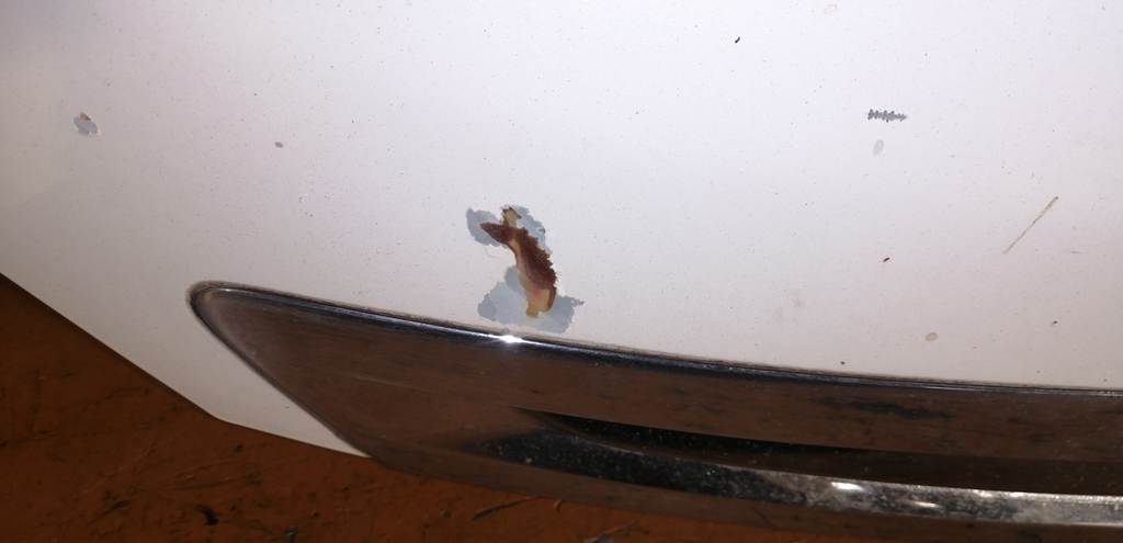 капот Honda Elysion