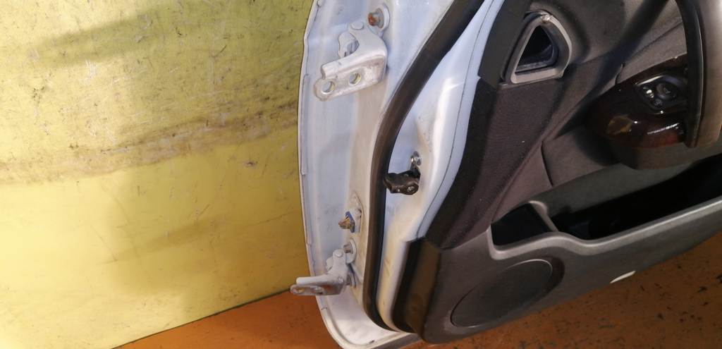 дверь Honda Elysion