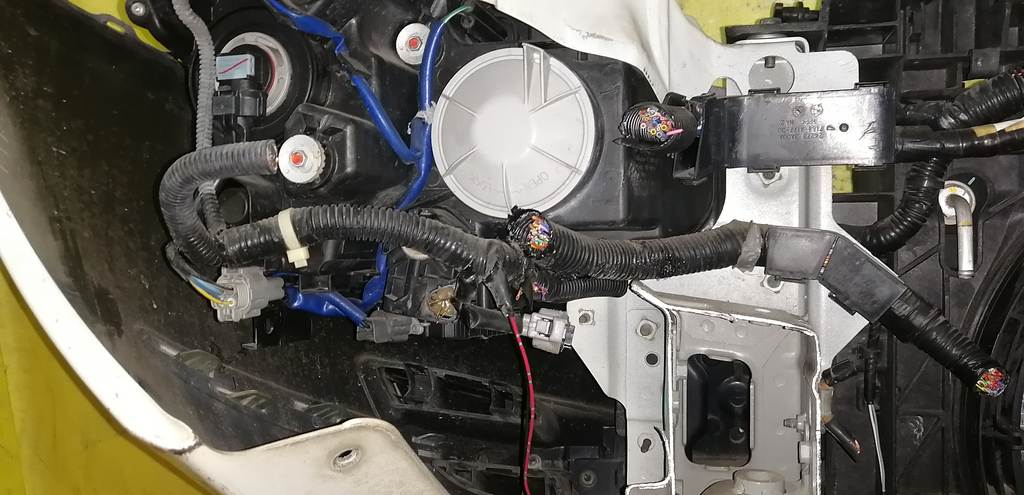 ноускат Nissan Teana