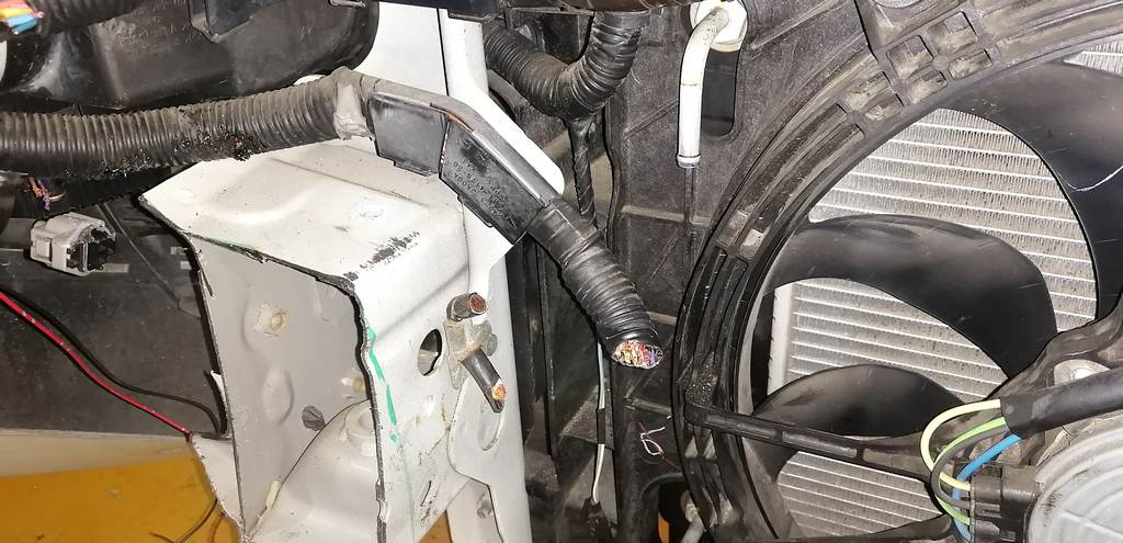 ноускат Nissan Teana