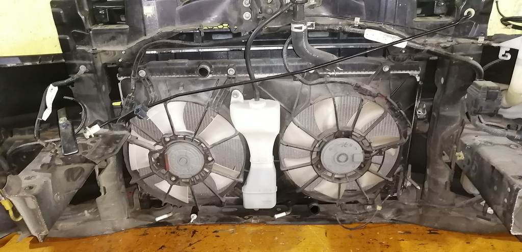 ноускат Honda Freed Spike