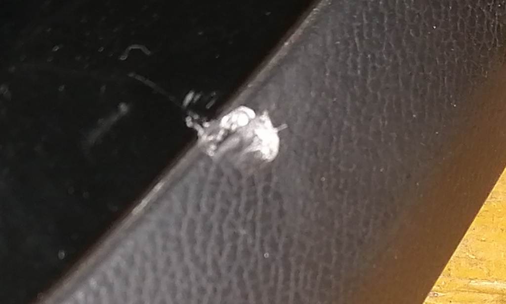 консоль магнитофона Suzuki Solio