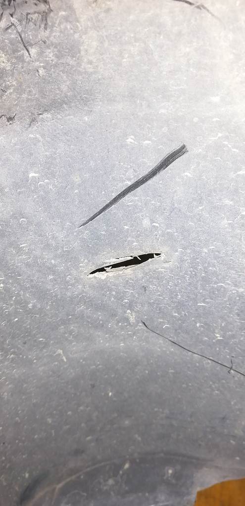 защита двигателя Honda Stepwgn