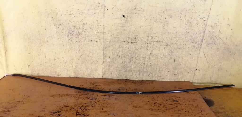 молдинг на крышу Nissan Teana