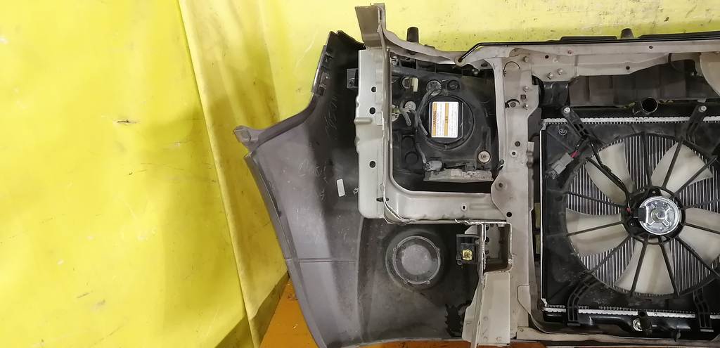 ноускат Honda Element